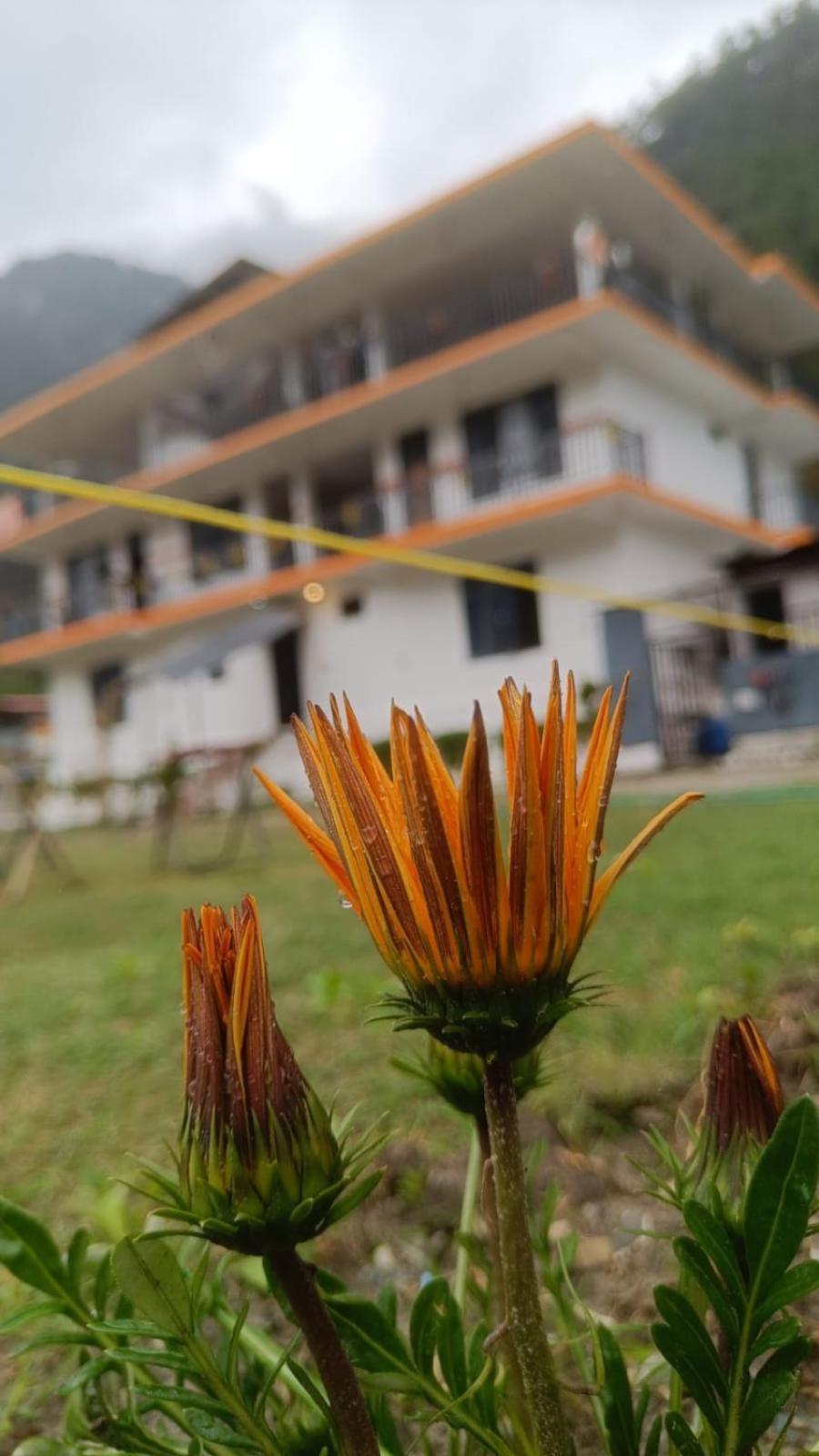 Himtrek Stay Kasol Buitenkant foto