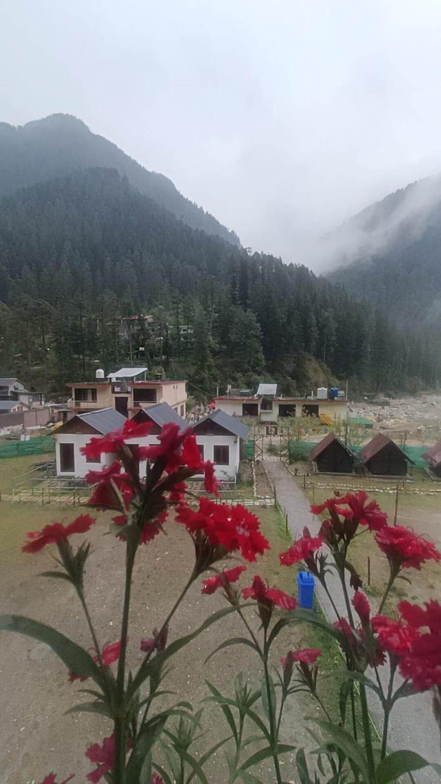 Himtrek Stay Kasol Buitenkant foto