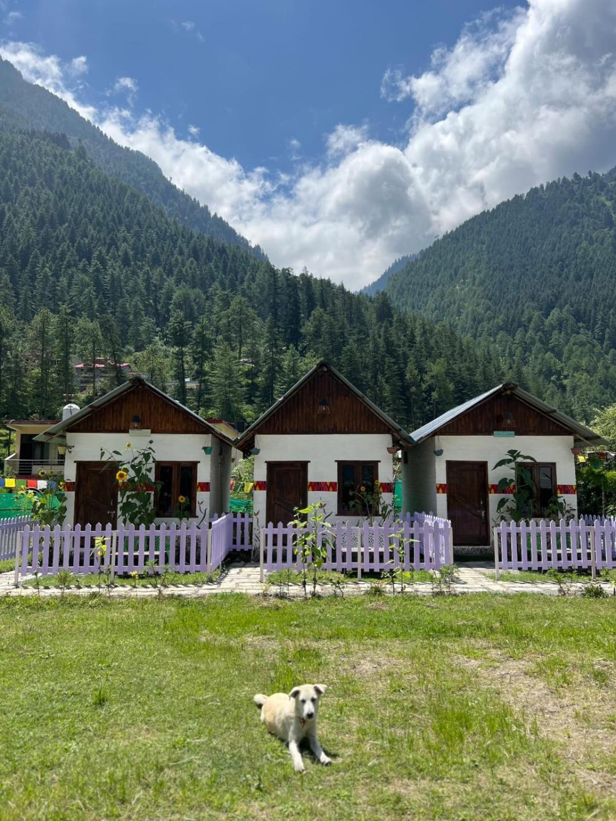 Himtrek Stay Kasol Buitenkant foto