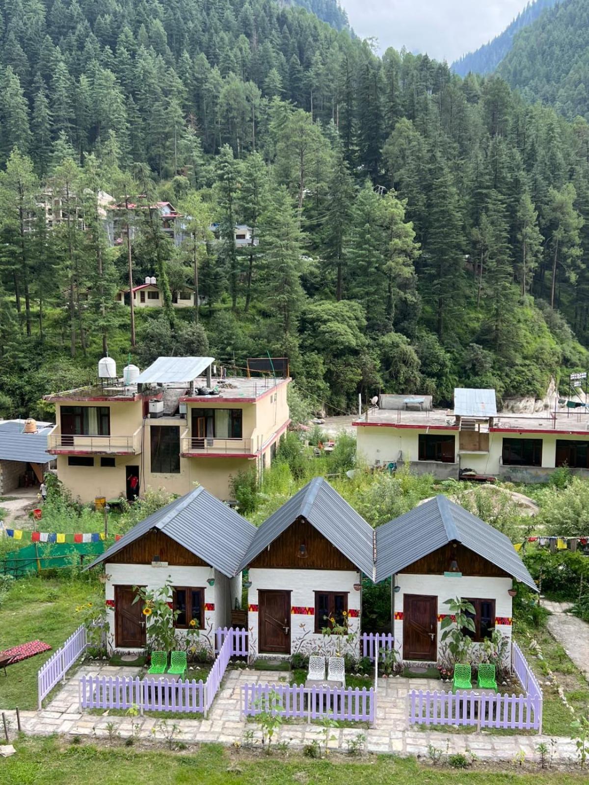 Himtrek Stay Kasol Buitenkant foto