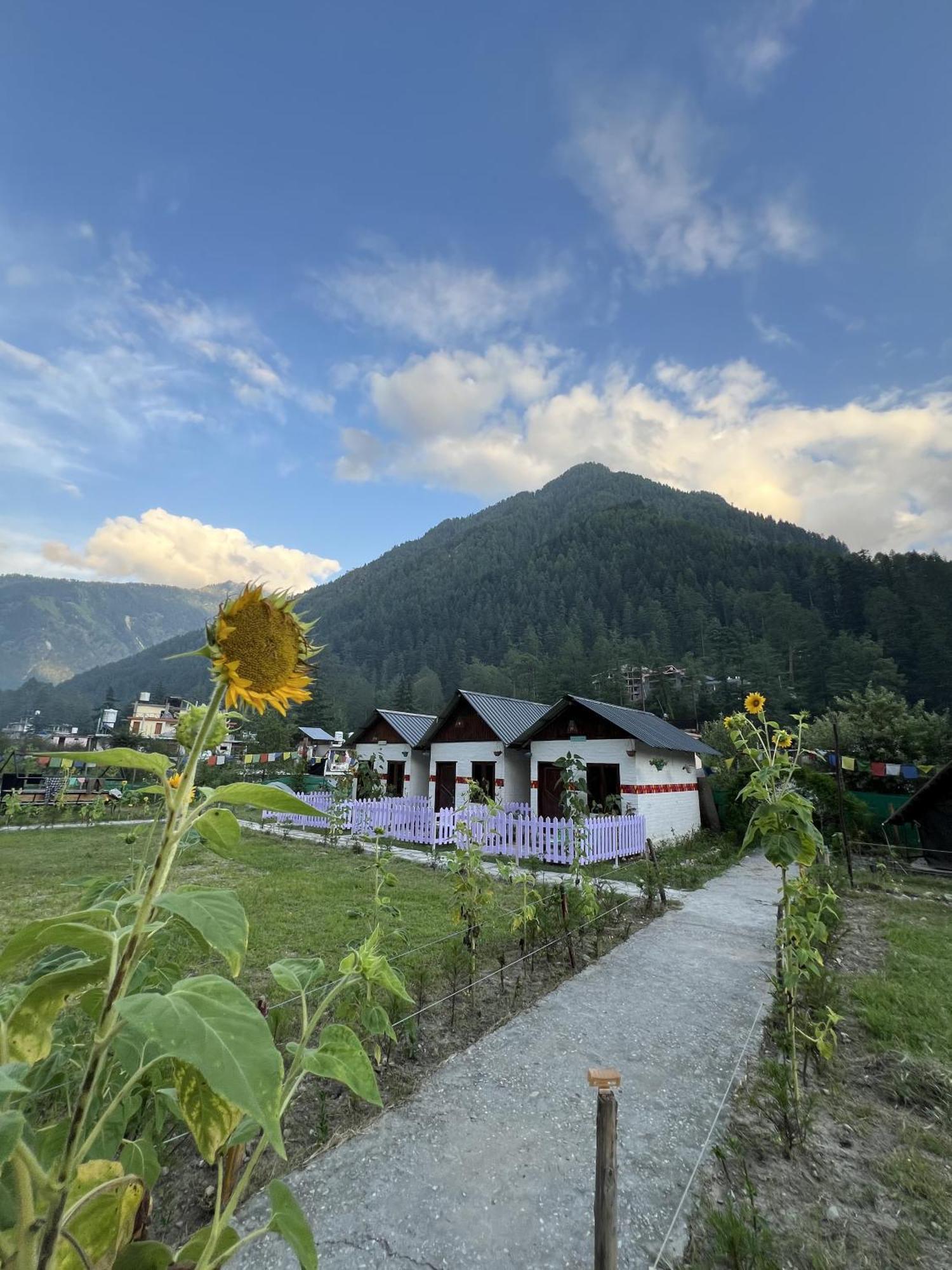 Himtrek Stay Kasol Buitenkant foto